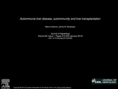 Autoimmune liver disease, autoimmunity and liver transplantation