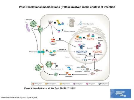Post‐translational modifications (PTMs) involved in the context of infection Post‐translational modifications (PTMs) involved in the context of infection.