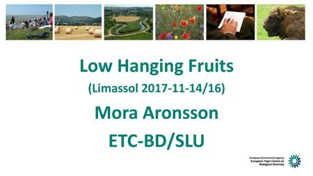 Low Hanging Fruits Mora Aronsson ETC-BD/SLU