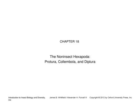 The Noninsect Hexapoda: Protura, Collembola, and Diplura