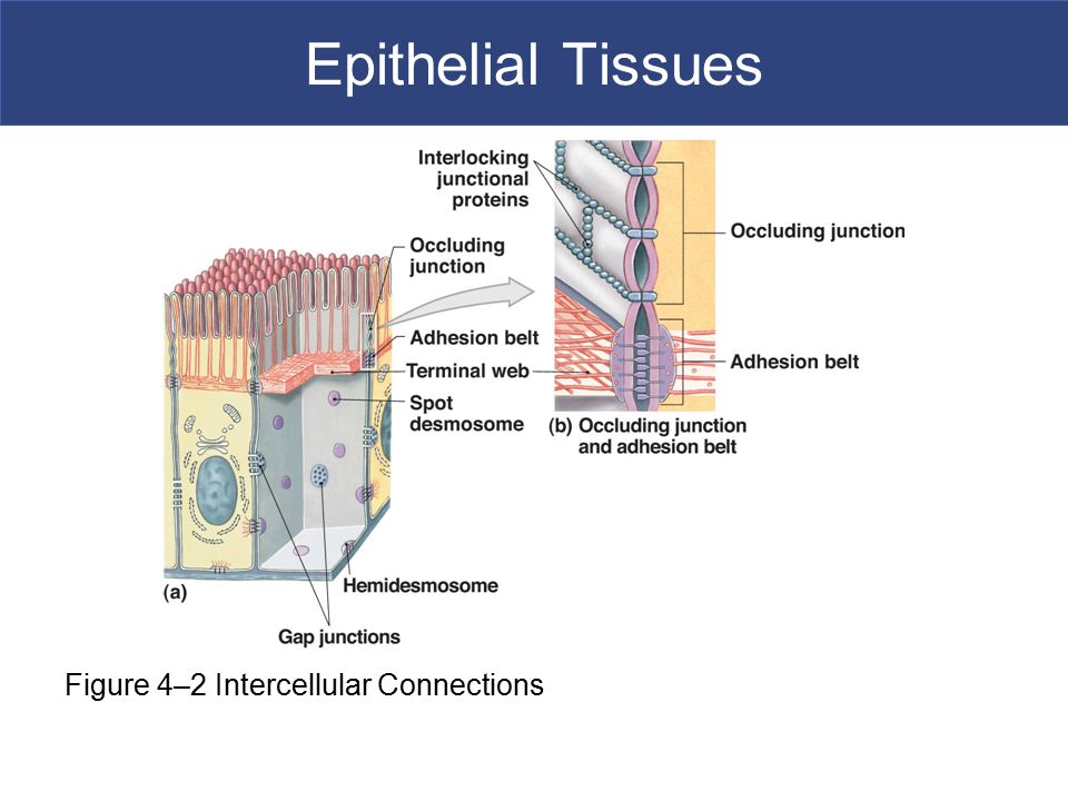 mechanical thermal and environmental testing and performance of ceramic composites and components astm special