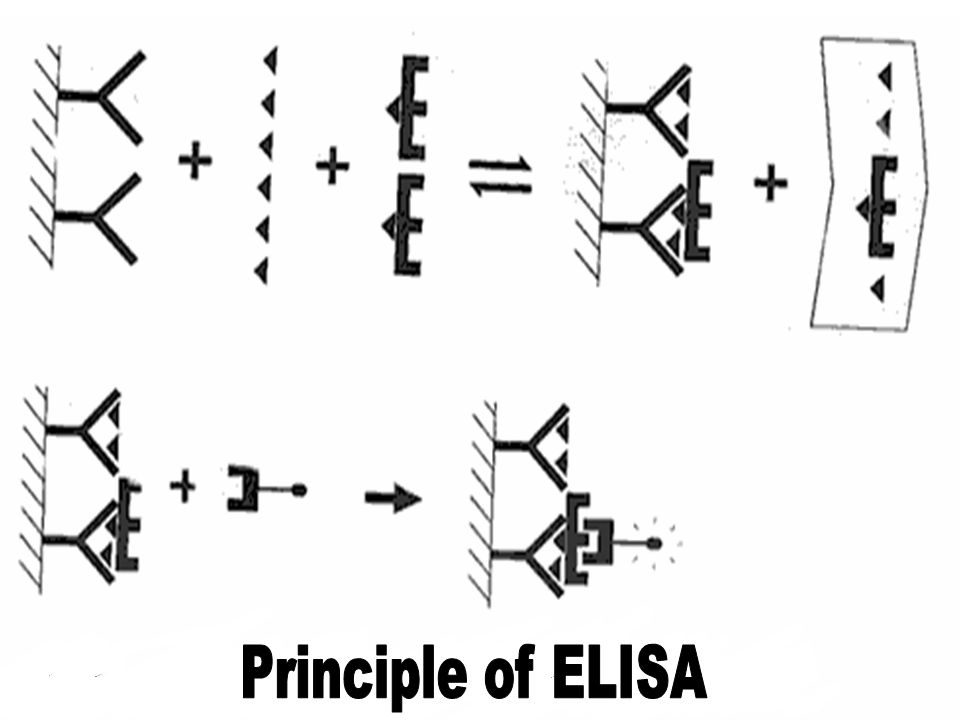 epub Concerning the Cut-Points of Continuous Curves and