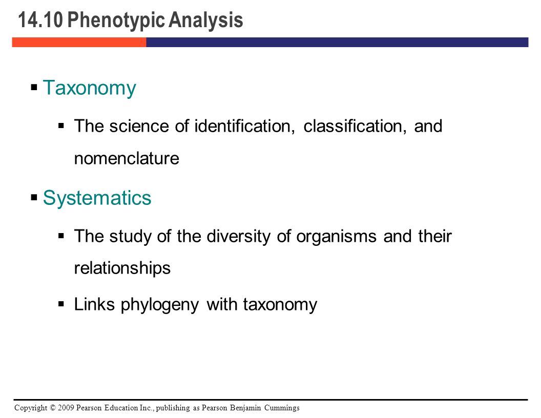 download algorithms and complexity