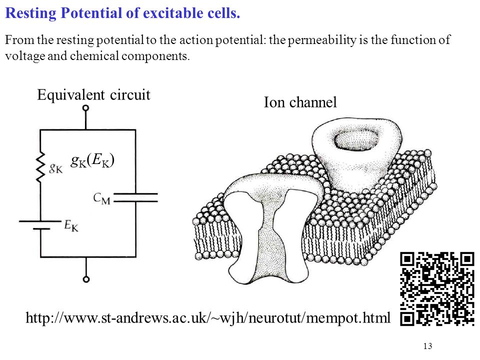 download Cell Biology: