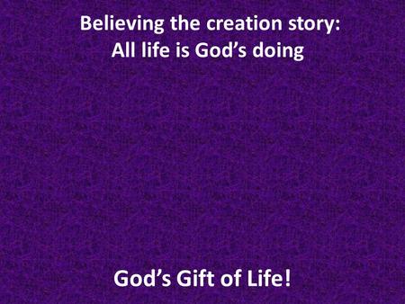God’s Gift of Life! Believing the creation story: All life is God’s doing.
