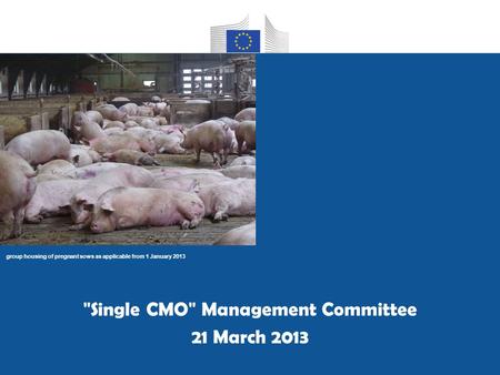 Group housing of pregnant sows as applicable from 1 January 2013 Single CMO Management Committee 21 March 2013.
