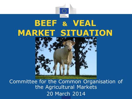BEEF & VEAL MARKET SITUATION Committee for the Common Organisation of the Agricultural Markets 20 March 2014.