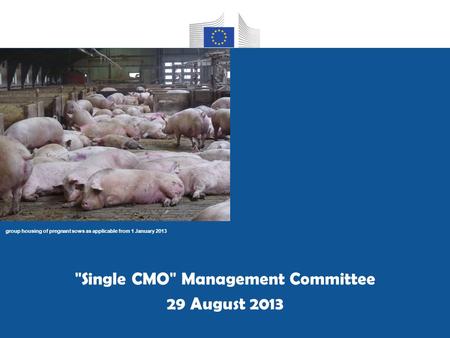 Group housing of pregnant sows as applicable from 1 January 2013 Single CMO Management Committee 29 August 2013.