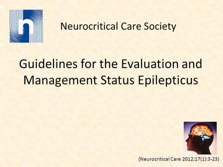 Guidelines for the Evaluation and Management Status Epilepticus