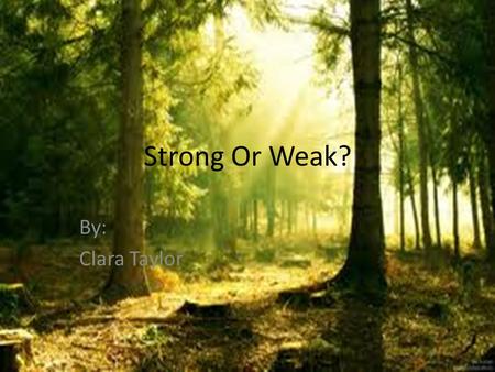Strong Or Weak? By: Clara Taylor.