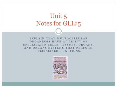 Unit 5 Notes for GLI#5 Explain that multi-cellular organisms have a variety of specialized cells, tissues, organs, and organs systems that perform specialized.