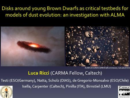 Disks around young Brown Dwarfs as critical testbeds for models of dust evolution: an investigation with ALMA Luca Ricci (CARMA Fellow, Caltech) Testi.