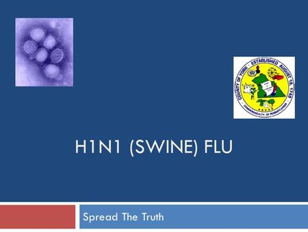 H1N1 (SWINE) FLU Spread The Truth. What is Novel H1N1 (Swine) Flu?  Novel H1N1 is a NEW influenza VIRUS that causes people to get sick  At this time,