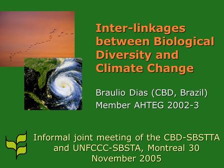 Inter-linkages between Biological Diversity and Climate Change Braulio Dias (CBD, Brazil) Member AHTEG 2002-3 Informal joint meeting of the CBD-SBSTTA.