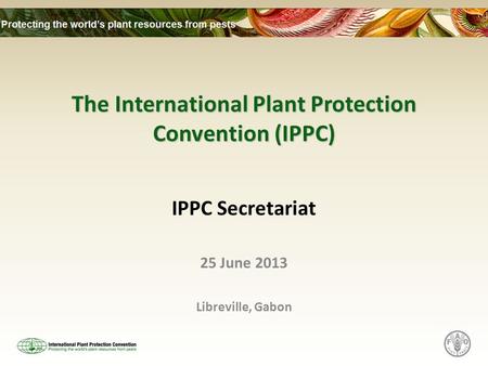 The International Plant Protection Convention (IPPC) IPPC Secretariat 25 June 2013 Libreville, Gabon.