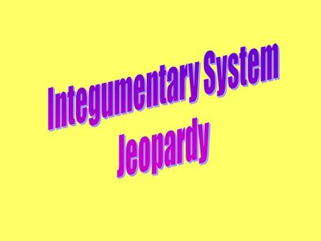 Integumentary System Jeopardy.