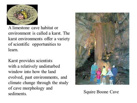 A limestone cave habitat or environment is called a karst. The karst environments offer a variety of scientific opportunities to learn. Karst provides.