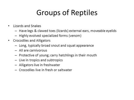 Groups of Reptiles Lizards and Snakes – Have legs & clawed toes (lizards) external ears, moveable eyelids – Highly evolved specialized forms (venom) Crocodiles.