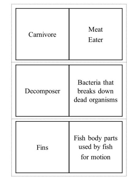 Fins Fish body parts used by fish for motion Decomposer Bacteria that breaks down dead organisms Carnivore Meat Eater.