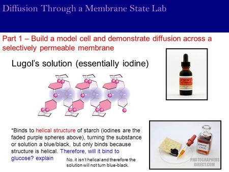 Diffusion Through a Membrane State Lab