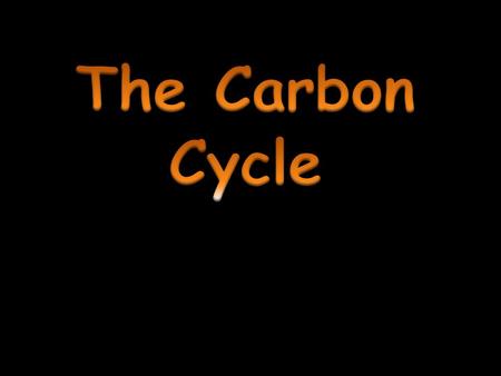 The Carbon Cycle.