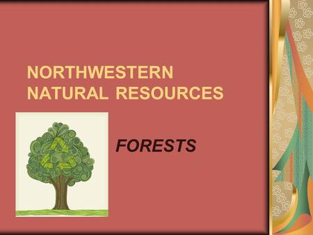 NORTHWESTERN NATURAL RESOURCES FORESTS. Forestry FACTS Most timber harvested goes toward lumber production (53%) and pulp products such as paper(32%).