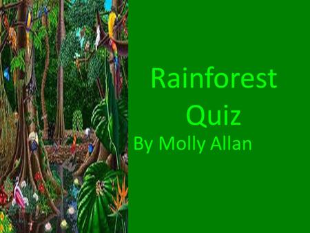 Rainforest Quiz By Molly Allan. Question 1 Q. Which two part of the rainforest do birds live in. a. The emergent and the canopy b. The canopy and the.