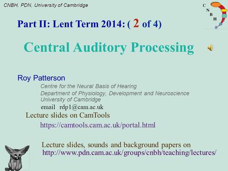 Central Auditory Processing