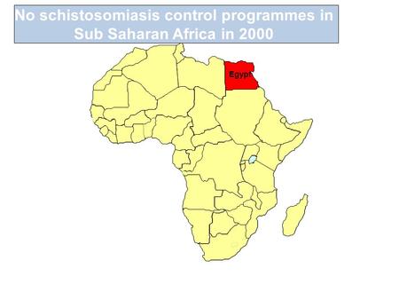 No schistosomiasis control programmes in Sub Saharan Africa in 2000 Egypt.