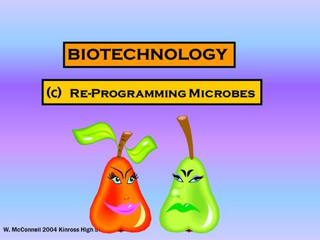W. McConnell 2004 Kinross High School BIOTECHNOLOGY ( c ) Re-Programming Microbes.