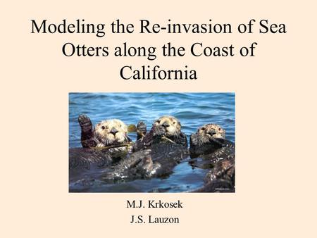 Modeling the Re-invasion of Sea Otters along the Coast of California M.J. Krkosek J.S. Lauzon.