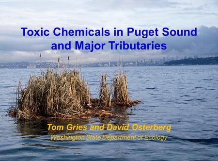 Toxic Chemicals in Puget Sound and Major Tributaries Tom Gries and David Osterberg Washington State Department of Ecology.