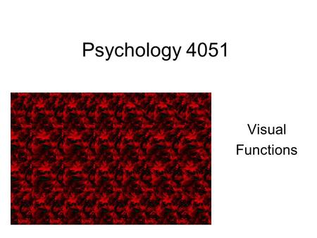 Psychology 4051 Visual Functions.