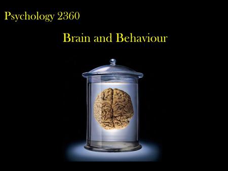 Psychology 2360 Brain and Behaviour.  Welcome to the course This course presents the fundamentals of Neuroscience. Basic neuroscience – brain cells,