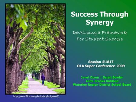 Success Through Synergy Developing a Framework For Student Success Session #1817 OLA Super Conference 2009.