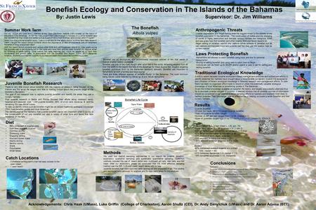 Bonefish Ecology and Conservation in The Islands of the Bahamas By: Justin Lewis Supervisor: Dr. Jim Williams Summer Work Term For my AQUA 400 work term.