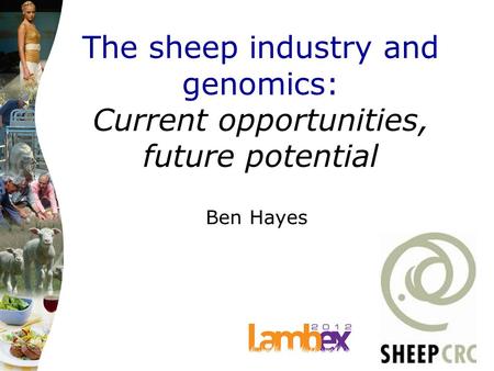 The sheep industry and genomics: Current opportunities, future potential Ben Hayes.