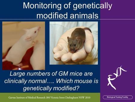 Biological Testing FacilityBi Monitoring of genetically modified animals Biological Testing Facility Large numbers of GM mice are clinically normal…. Which.