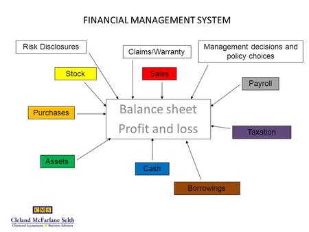 FINANCIAL MANAGEMENT SYSTEM Balance sheet Profit and loss Sales Claims/Warranty Stock Payroll Purchases Assets Cash Taxation Borrowings Risk DisclosuresManagement.