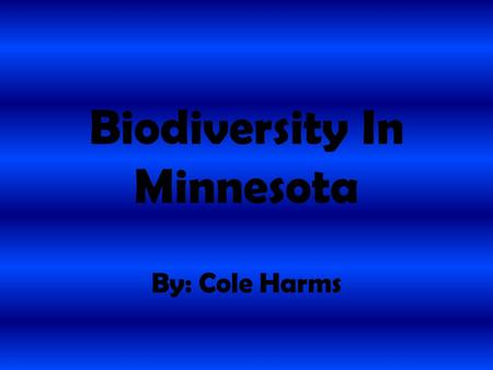 Biodiversity In Minnesota By: Cole Harms. Mourning Dove The mourning doves scientific name is Zenaida macroura. The mourning dove is a blue gray bird.