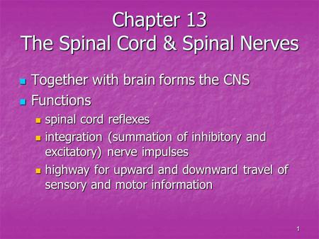 Chapter 13 The Spinal Cord & Spinal Nerves