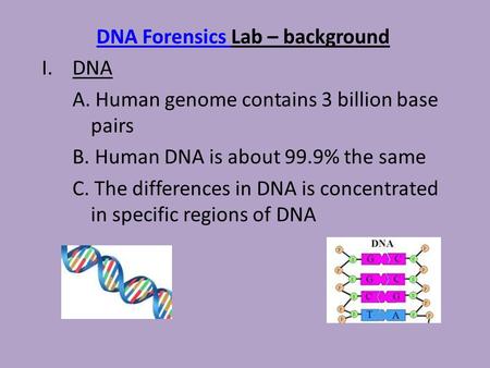 DNA Forensics DNA Forensics Lab – background I.DNA A. Human genome contains 3 billion base pairs B. Human DNA is about 99.9% the same C. The differences.