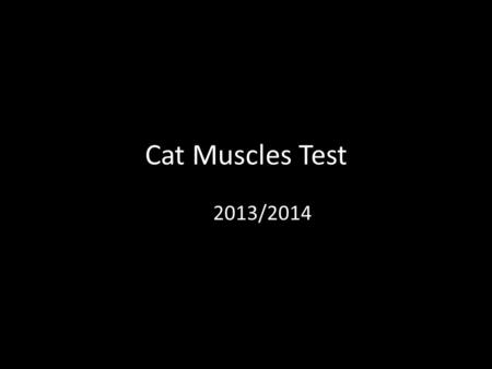 Cat Muscles Test 2013/2014. Head end tail abdomen.