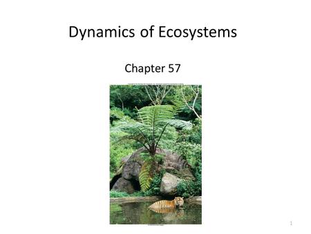 1 Dynamics of Ecosystems Chapter 57. 2 Flow of Energy in Ecosystems First Law of Thermodynamics: energy is neither created nor destroyed; it changes forms.
