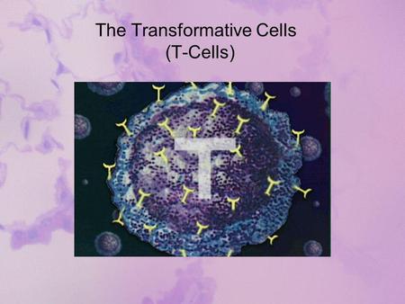 The Transformative Cells (T-Cells). Agreements Regarding the spirit of our speaking and listening, 1. We will speak for ourselves and from our own experience.