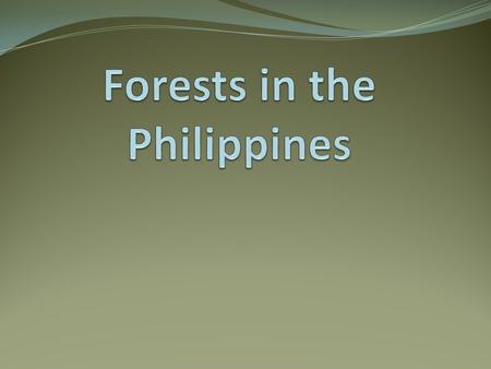 Philippine Forest The Philippines is one of the most biologically diverse nations in the world. Species endemism is very high covering at least 25 genera.
