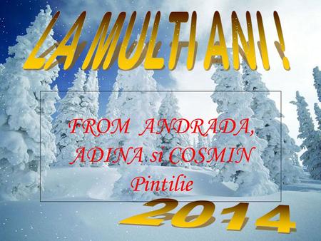 FROM ANDRADA, ADINA si COSMIN Pintilie Past another year...