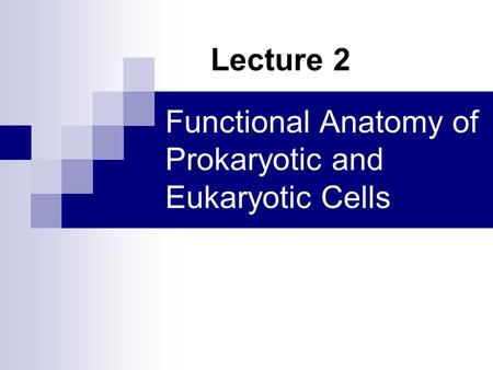 Functional Anatomy of Prokaryotic and Eukaryotic Cells
