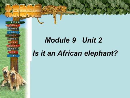 Module 9 Unit 2 Is it an African elephant?. 利用网络查找 There are seven continents in the world. What are they? Find these places on the map on the internet.