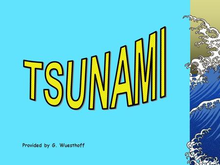 TSUNAMI Provided by G. Wuesthoff.